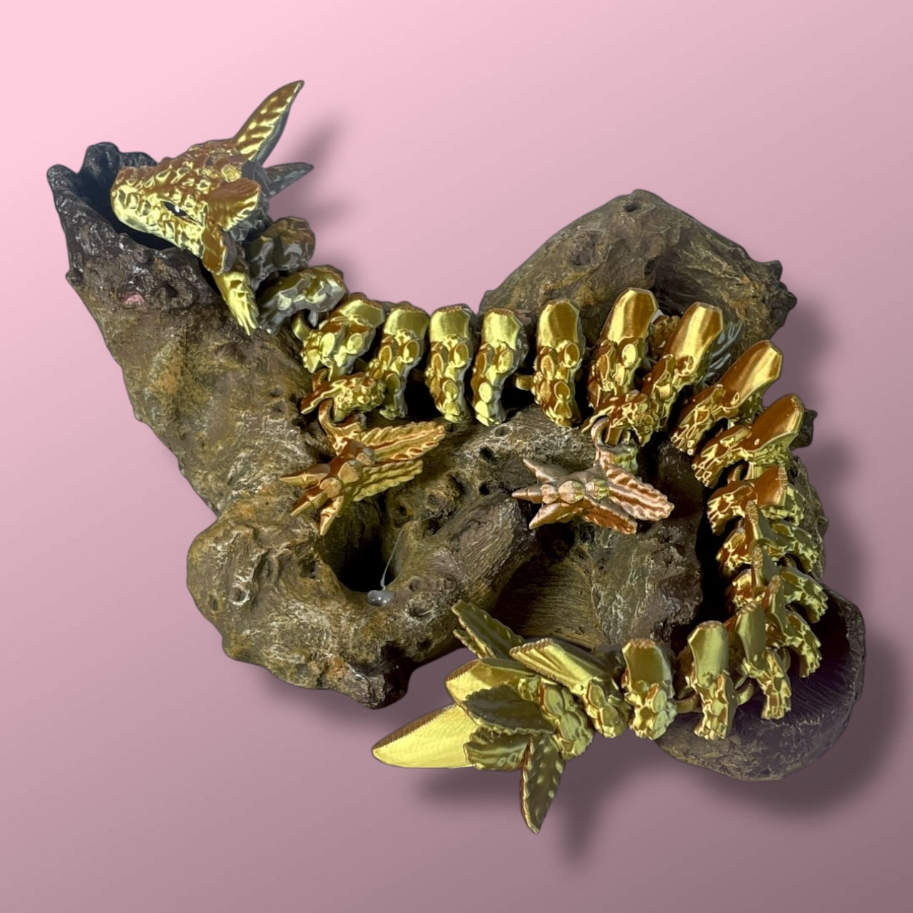 Axolotl Dragon