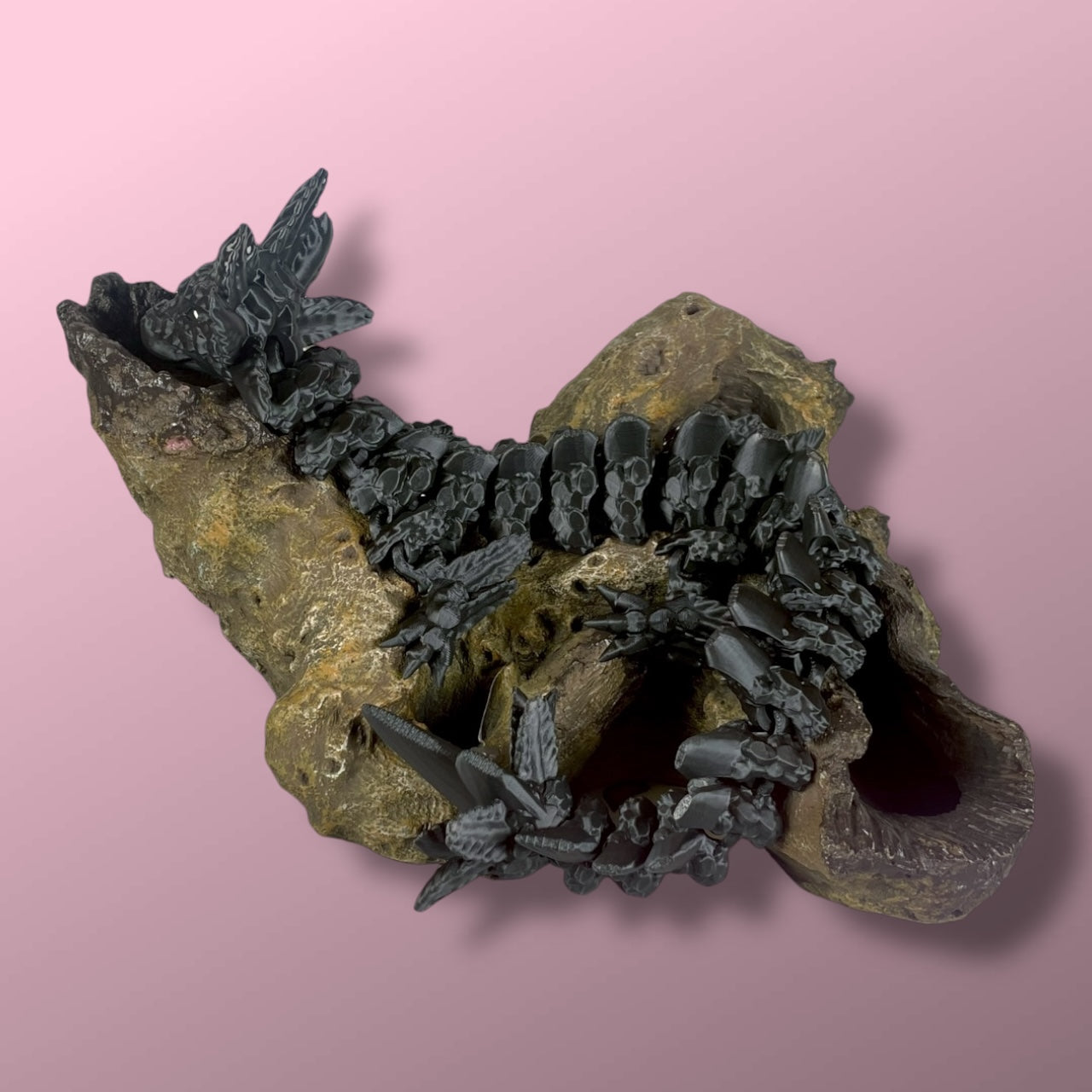 Axolotl Dragon