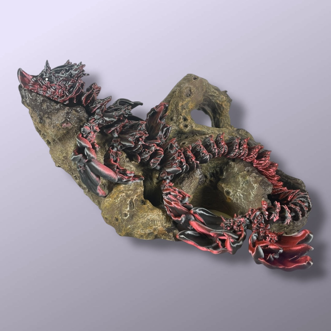 Coral Dragon