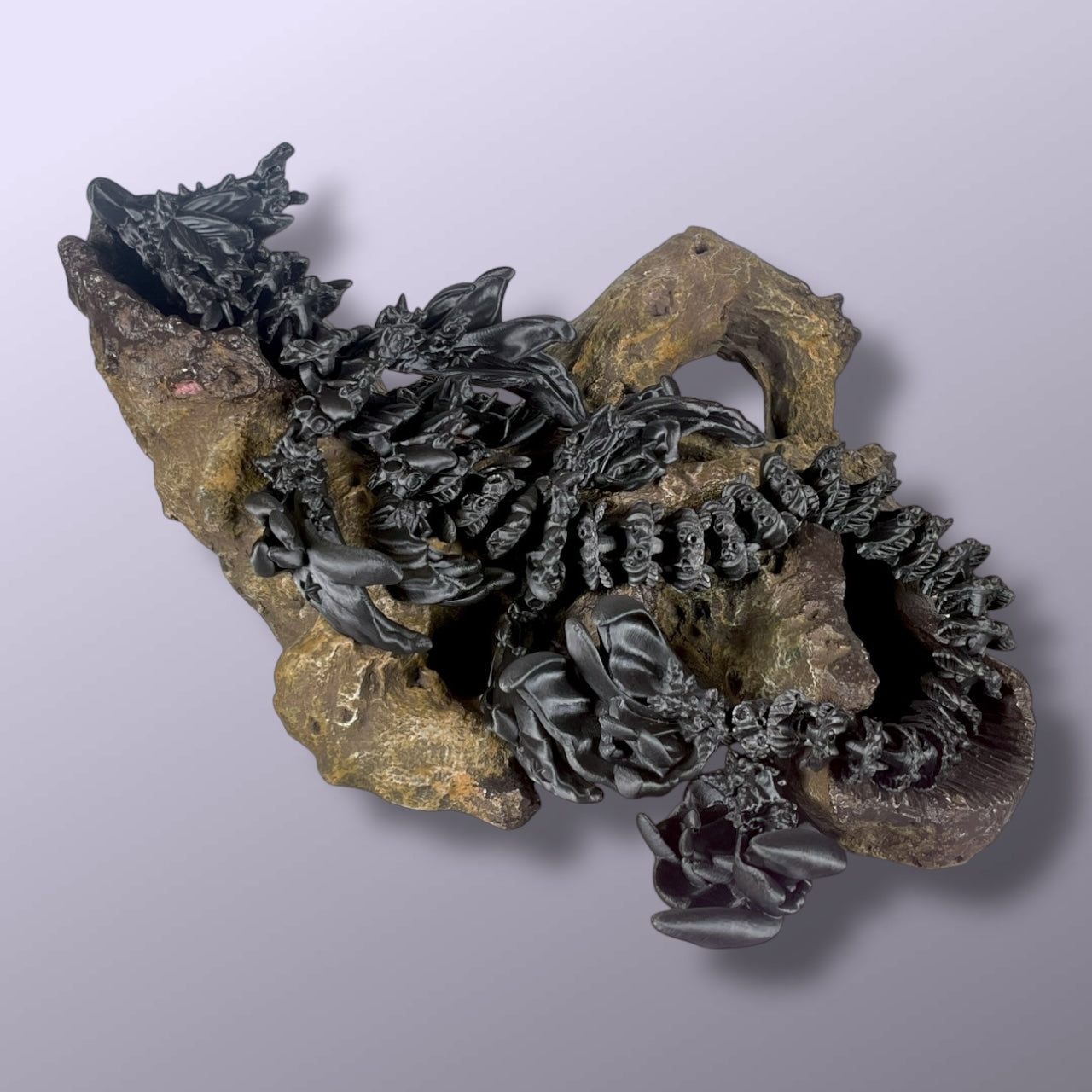 Coral Dragon