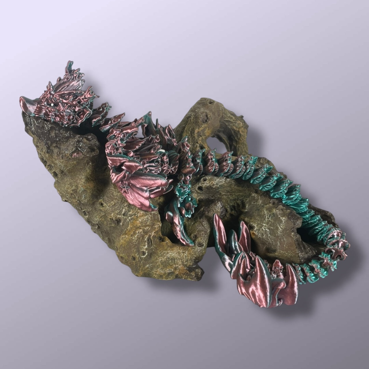 Coral Dragon