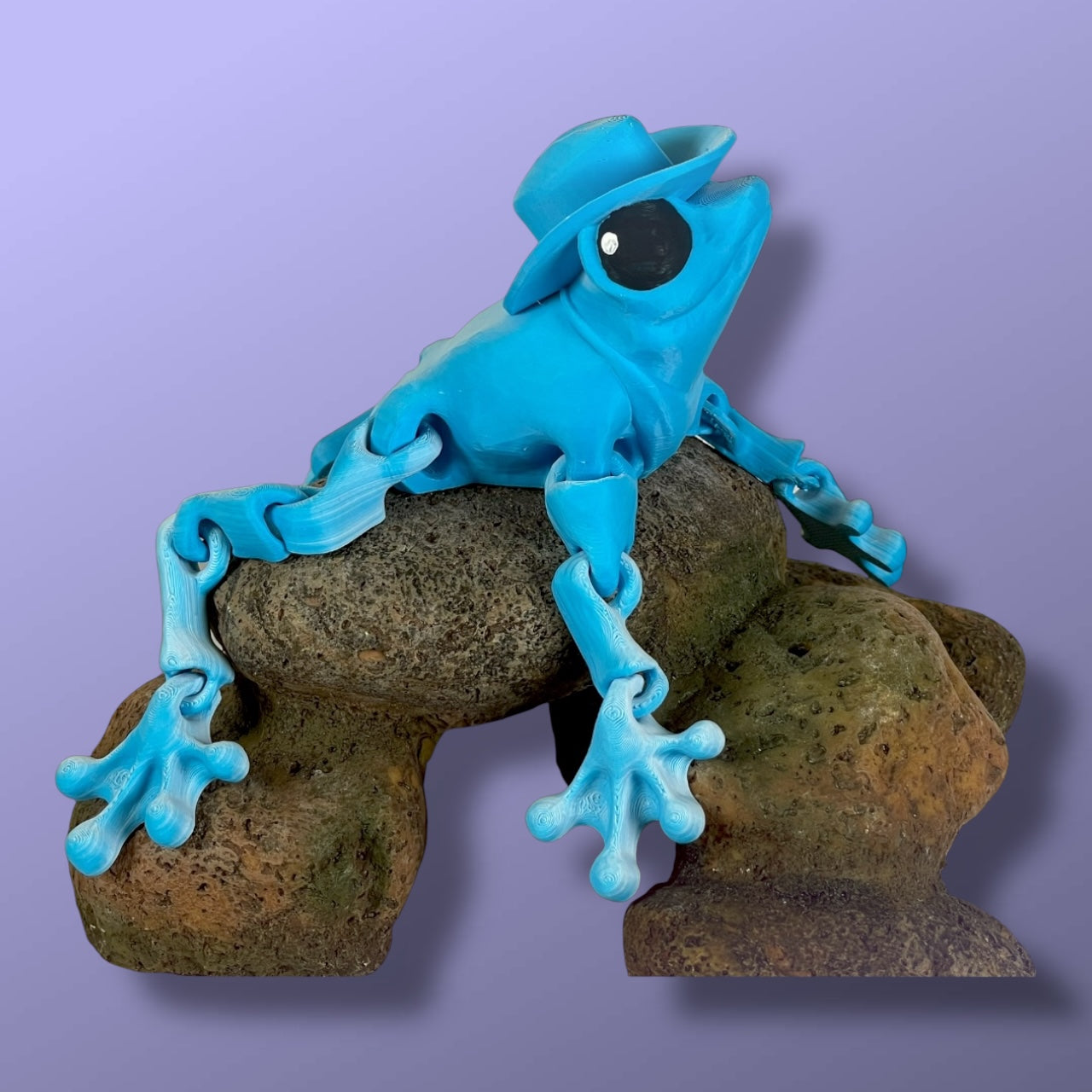 Cowboy Frog