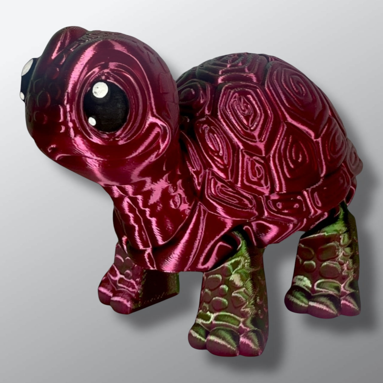 Cute Turtle