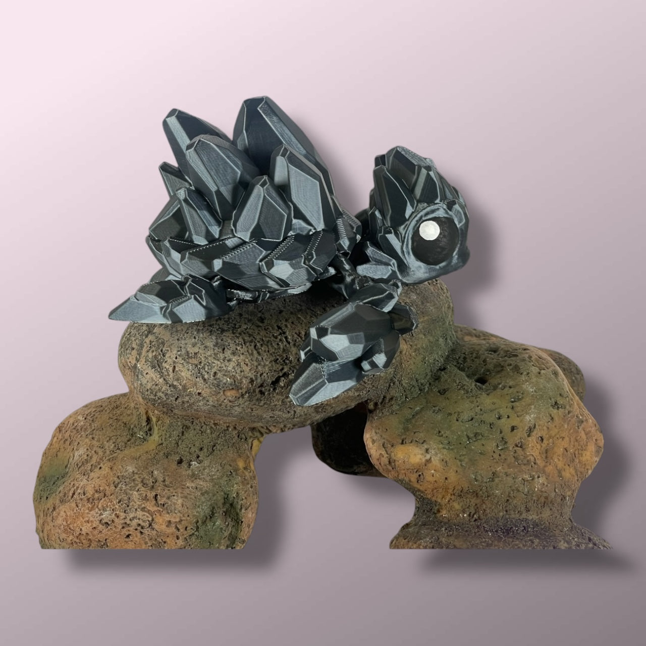 Gemstone Turtle