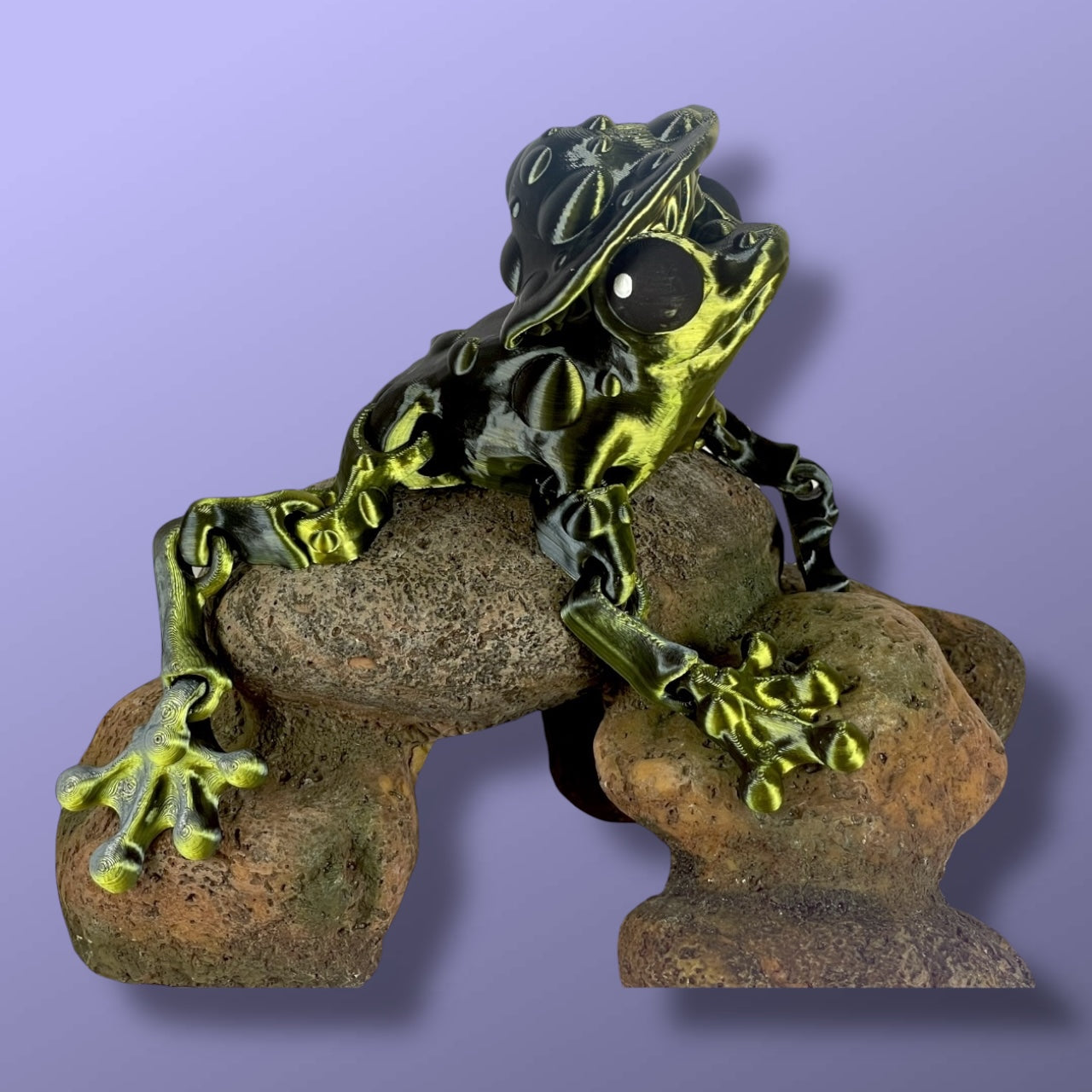 Mushroom Frog