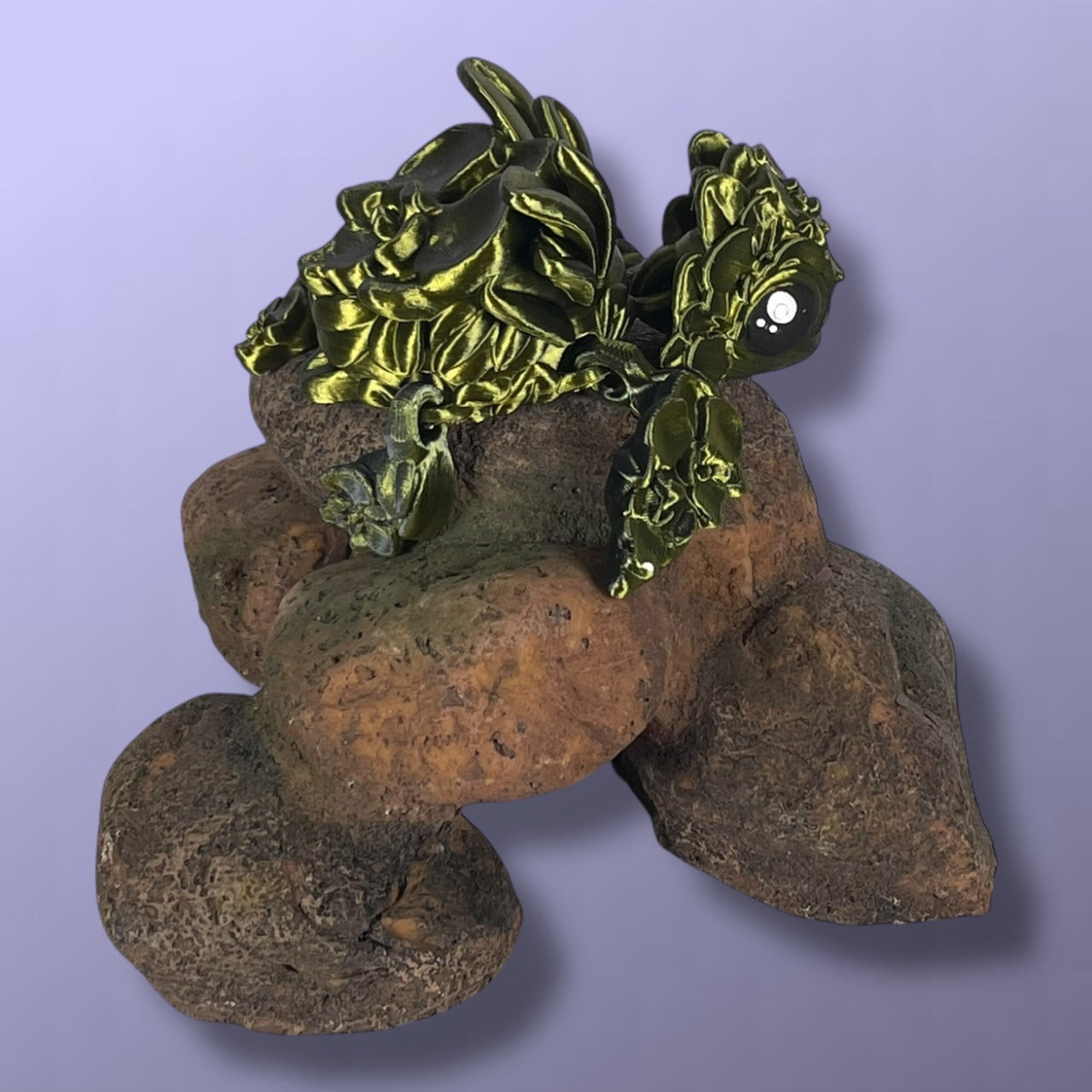 Orchid Turtle