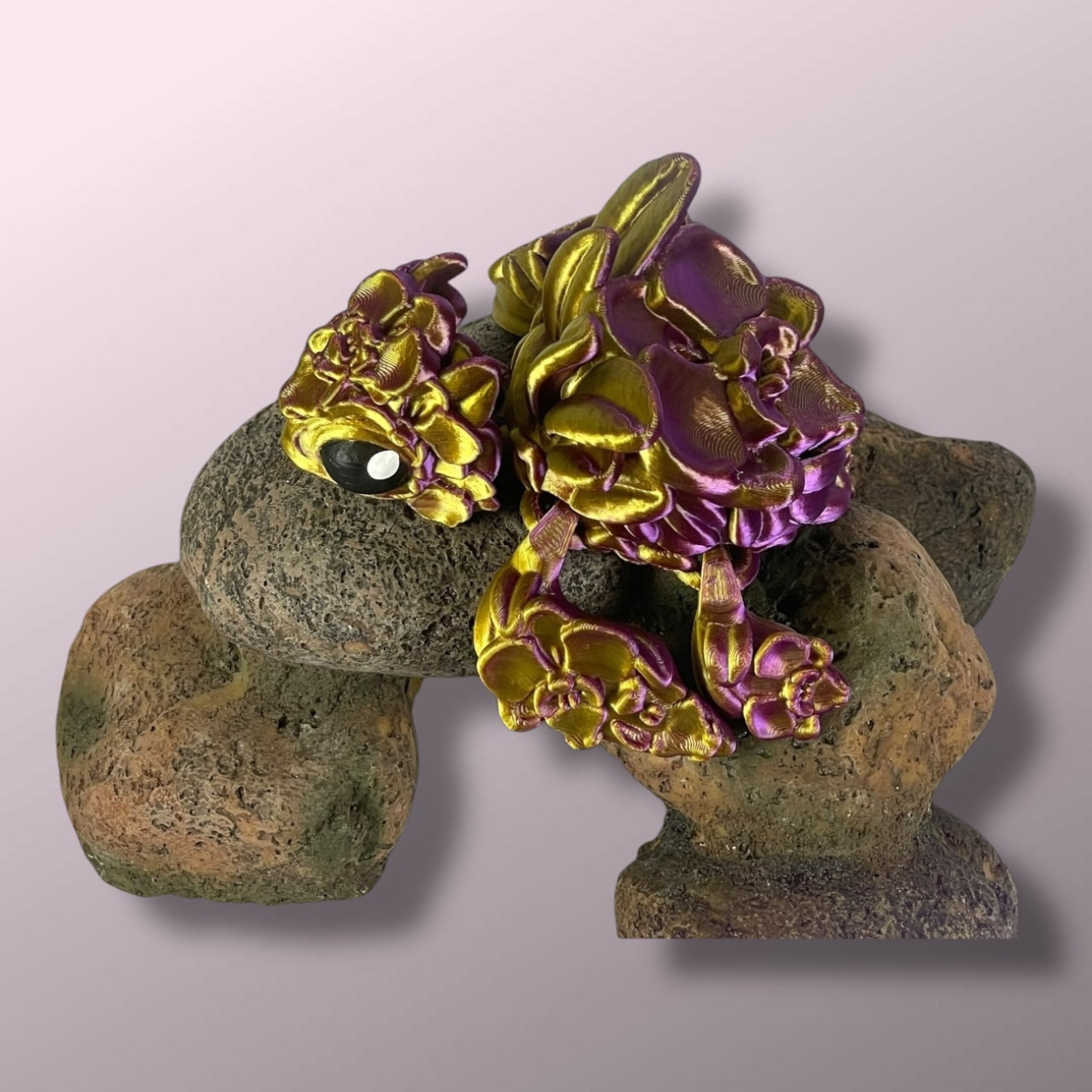 Orchid Turtle