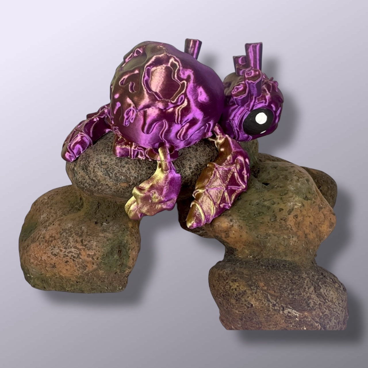 Poison Apple Turtle