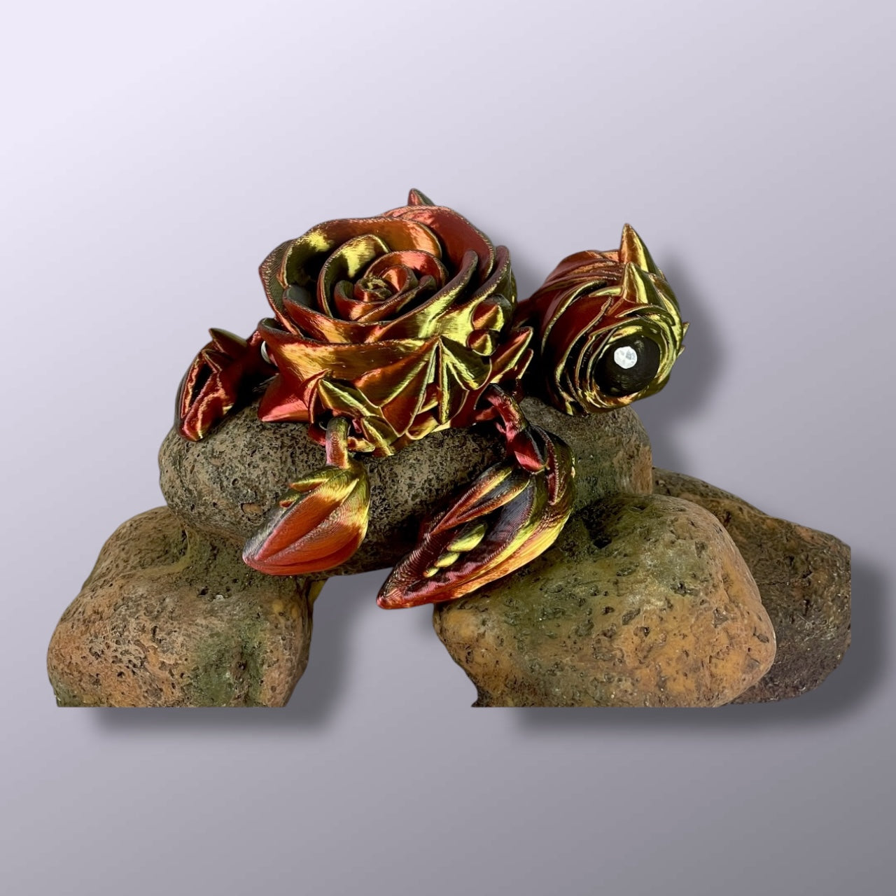 Rose Turtle