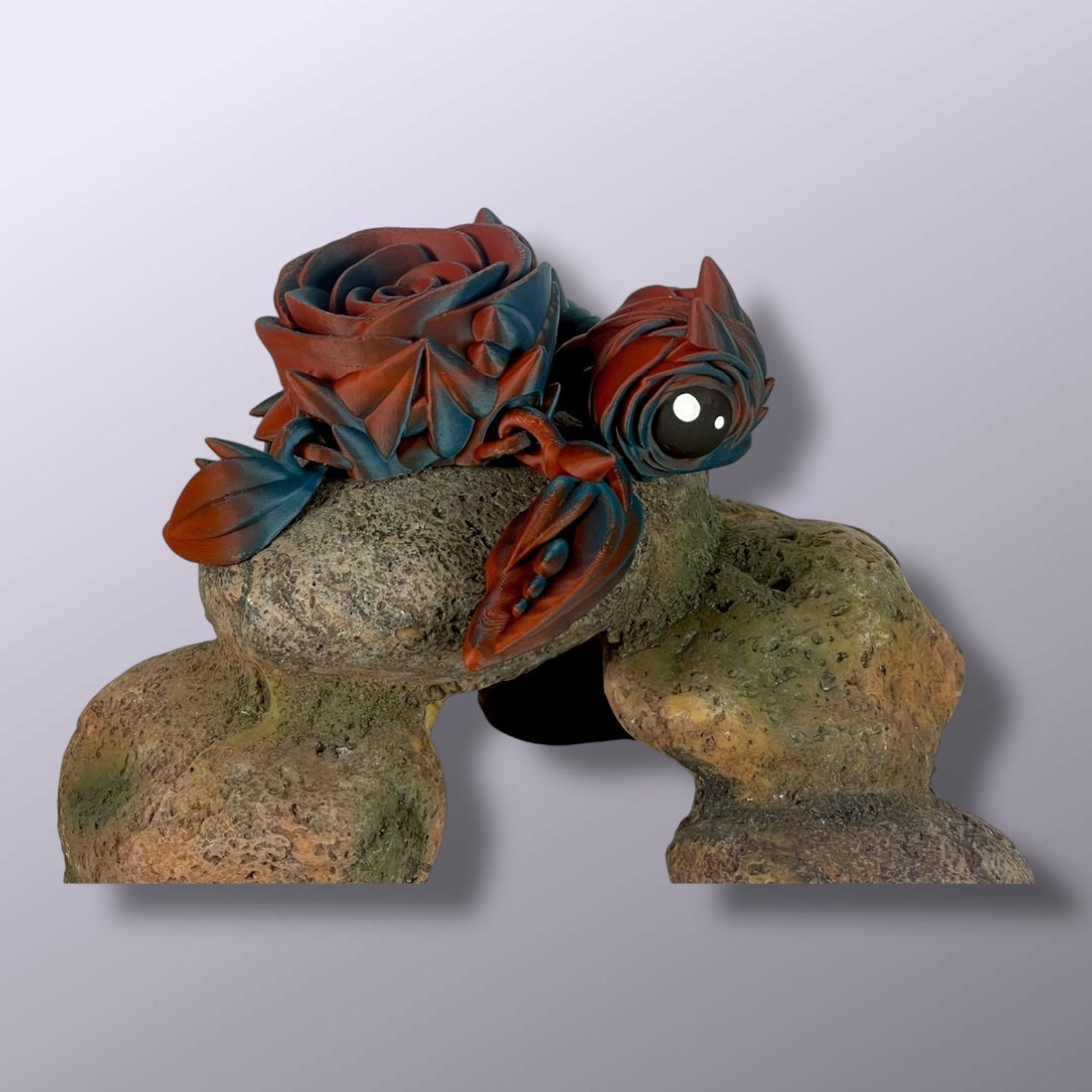 Rose Turtle