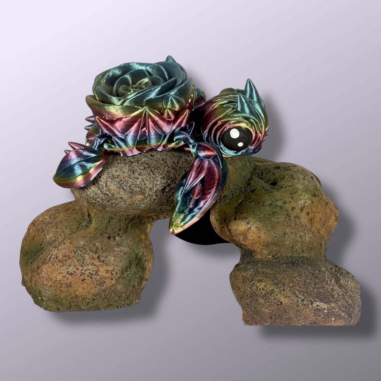 Rose Turtle