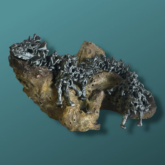 Hollow Dragon