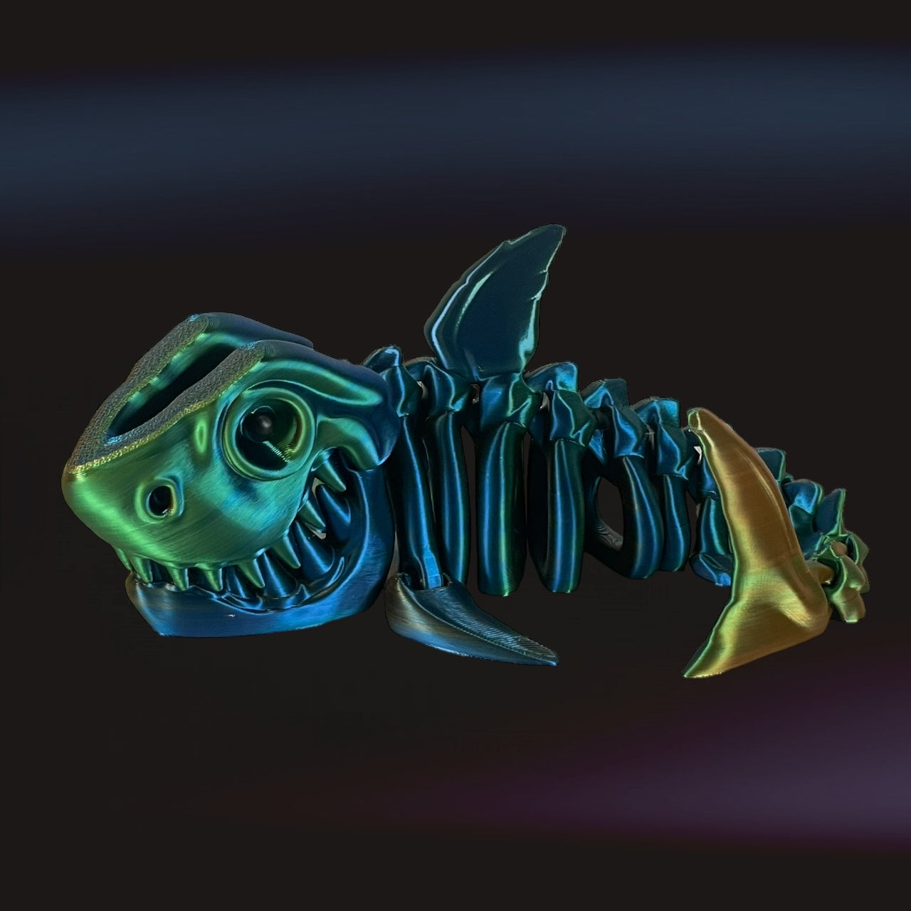 Skeleton Shark