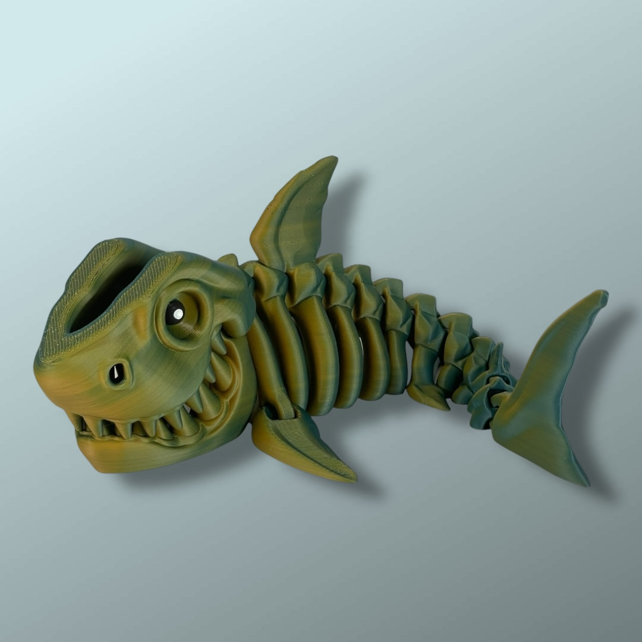 Skeleton Shark