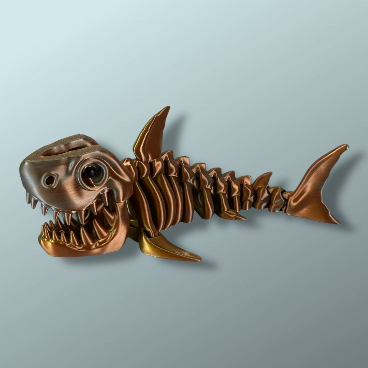 Skeleton Shark