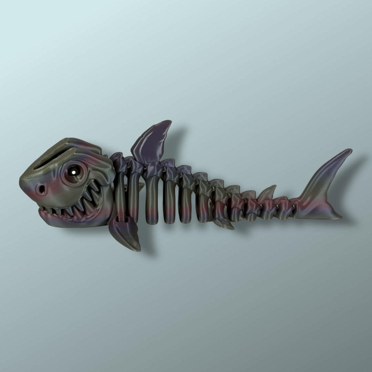 Skeleton Shark