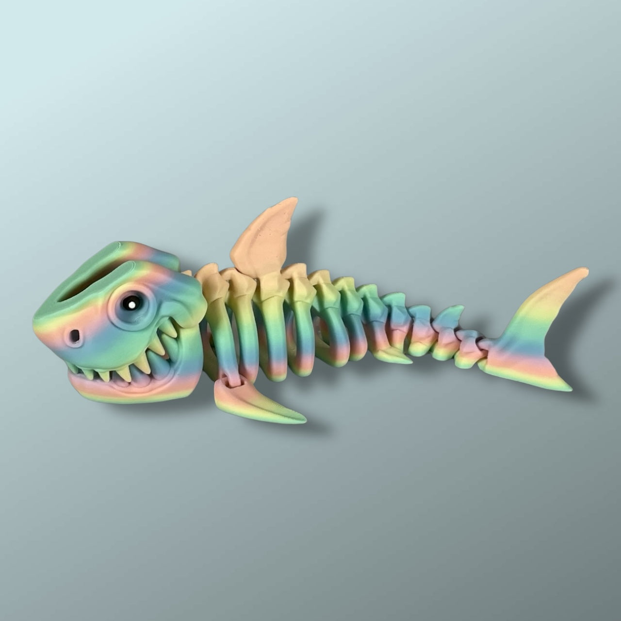 Skeleton Shark