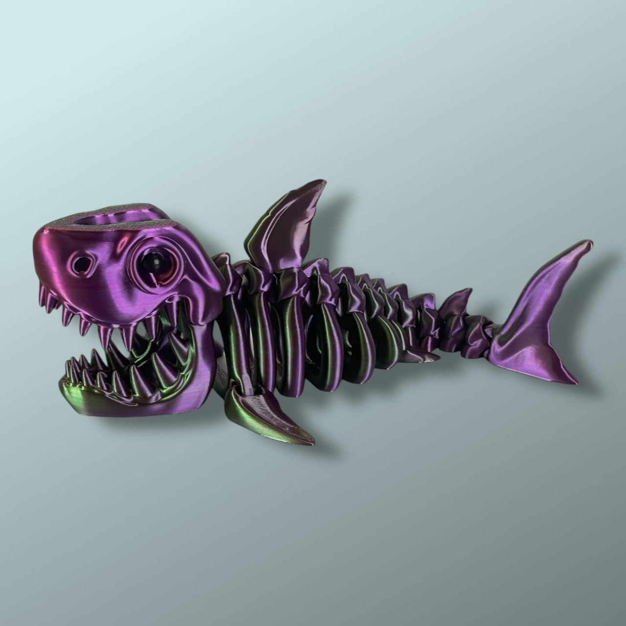 Skeleton Shark
