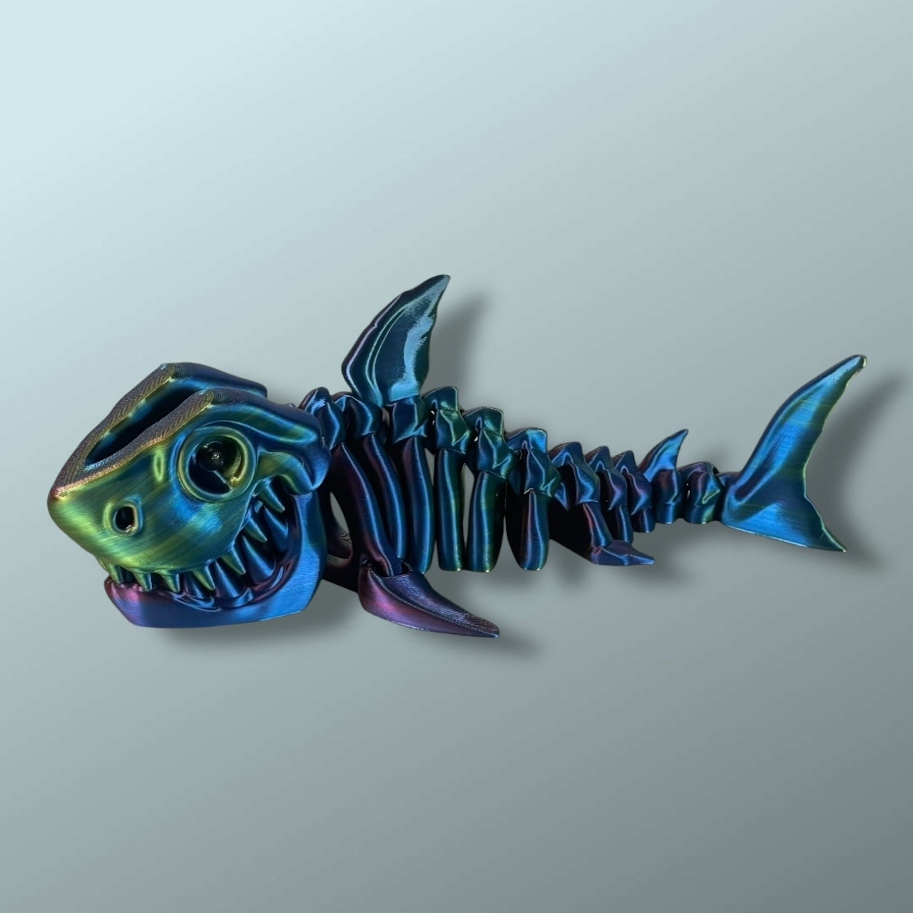 Skeleton Shark
