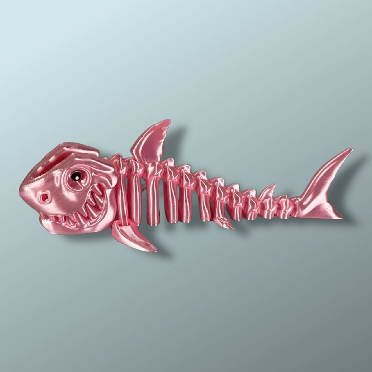 Skeleton Shark