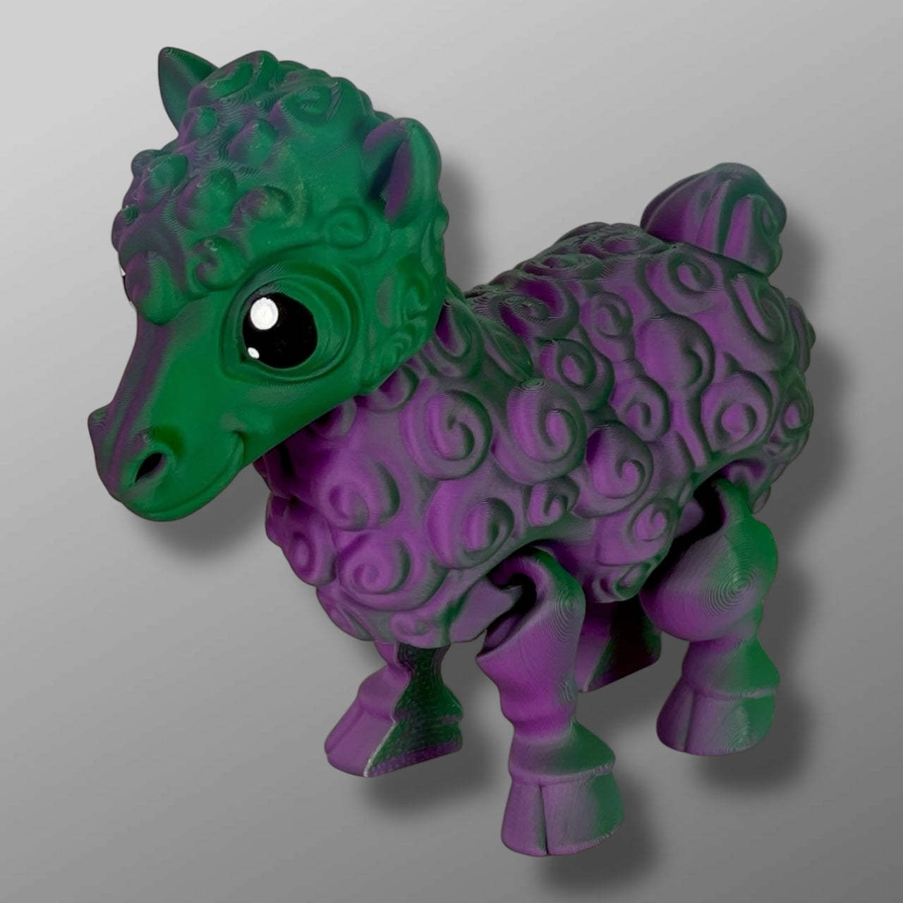 Sheep