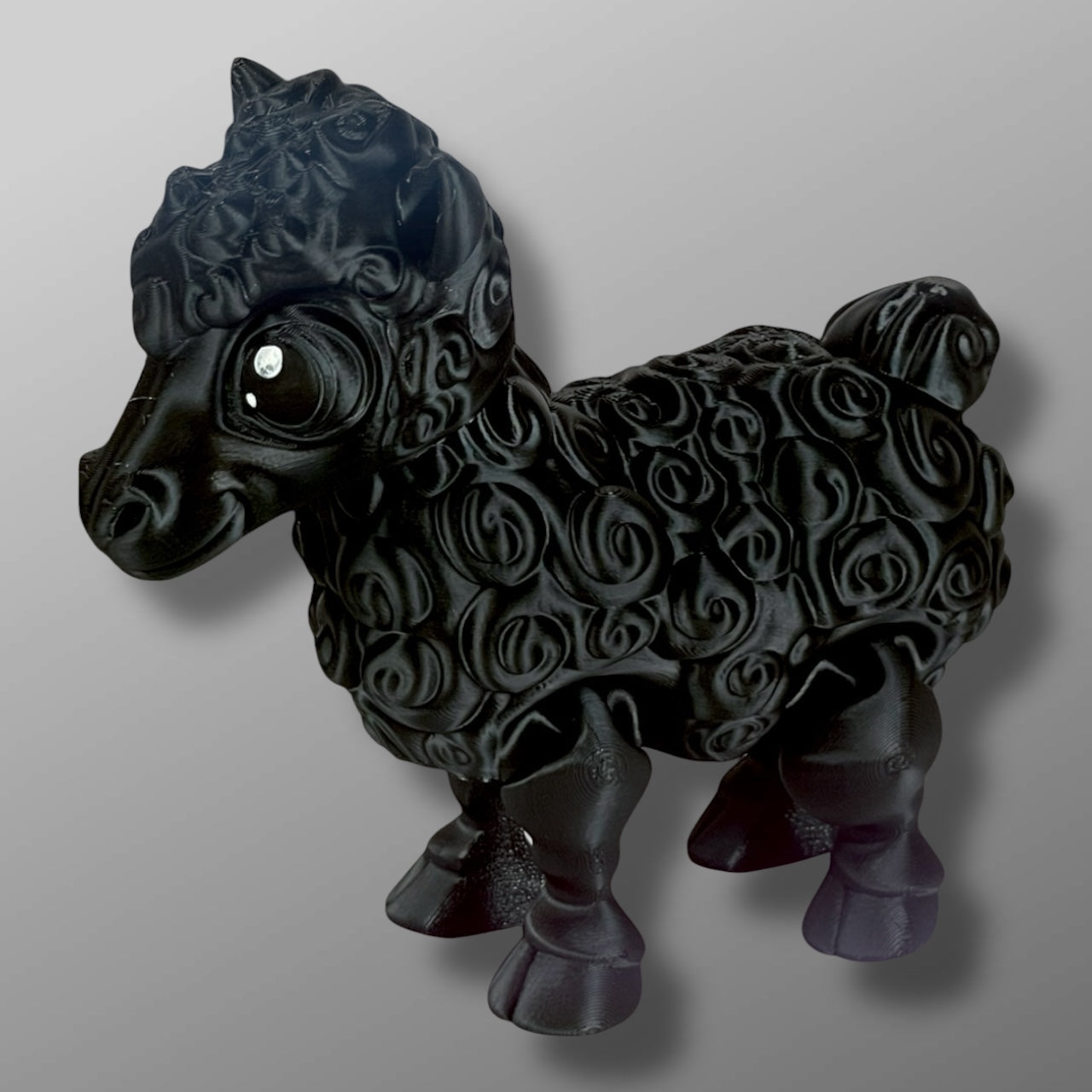 Sheep